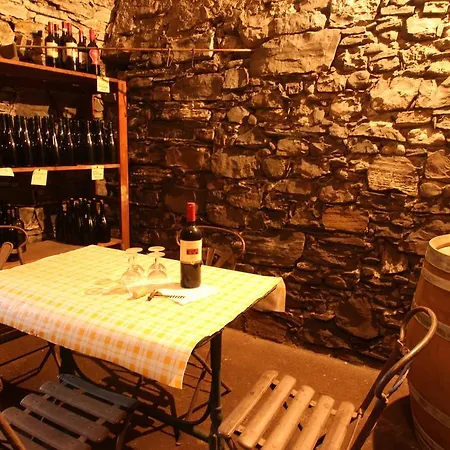 Holiday home Cozzena *