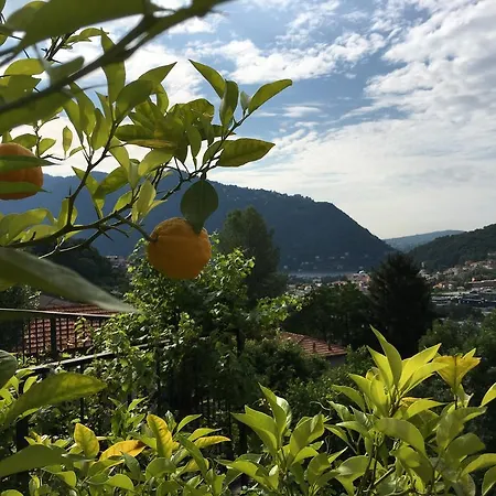 Hébergement de vacances Cozzena Maslianico
